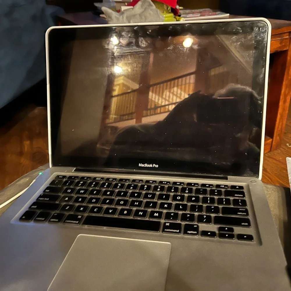 Apple MacBook Pro 2010 13
